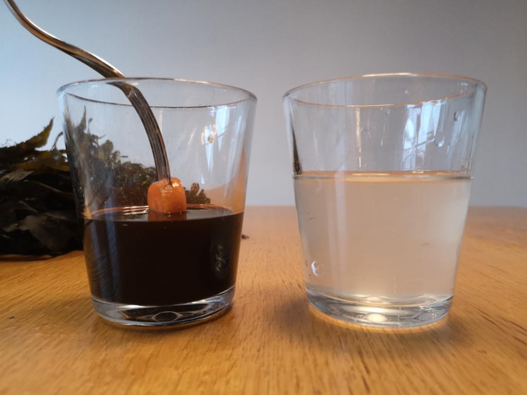 Gulrotbit på gaffel dyppes ned i brun løsning i et glass. Ved siden av står et glass med en blakket løsning. Tare skimtes i bakgrunnen. Foto.