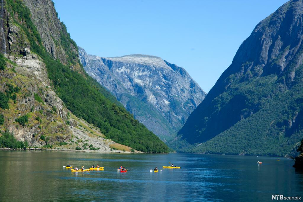 Menneske som padlar kajakkar i ein fjord. Høge fjell på sida. Foto.