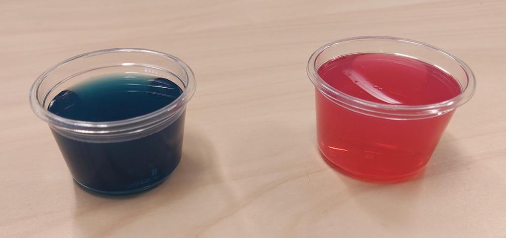 To plastkopper. Det er blå væske i den ene og rødrosa væske i den andre. Foto.