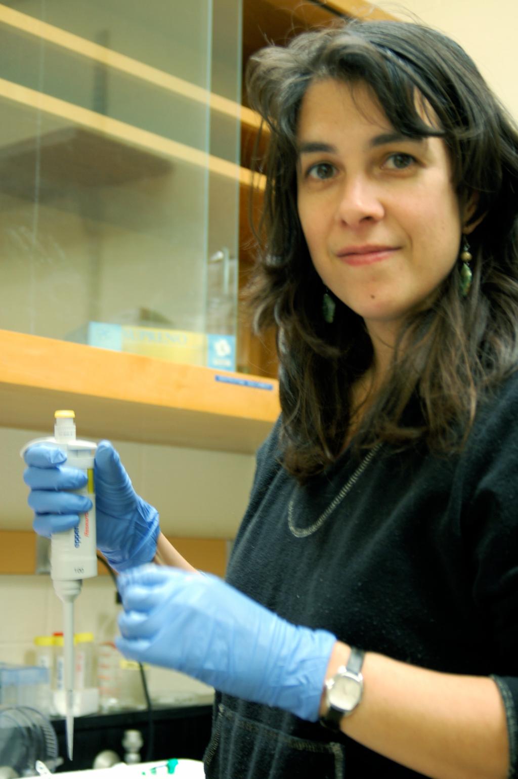 Laboratoriearbeid. Foto.