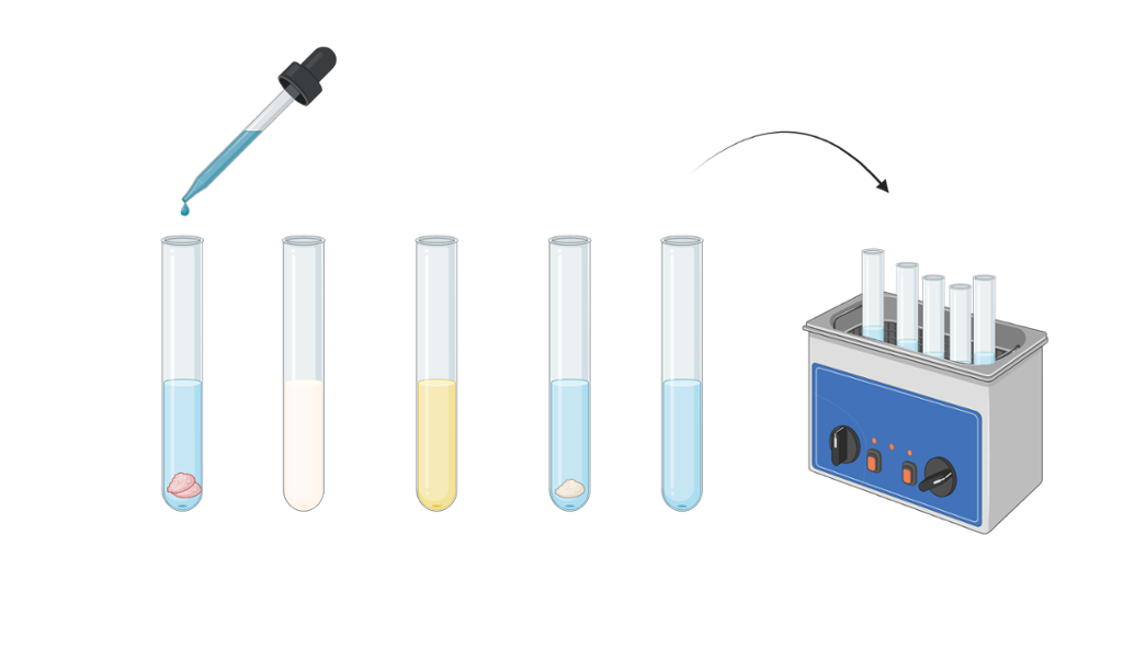 Reagensrør blir tilsatt blå væske med pipette og plassert i beholder med vann for oppvarming. Illustrasjon.