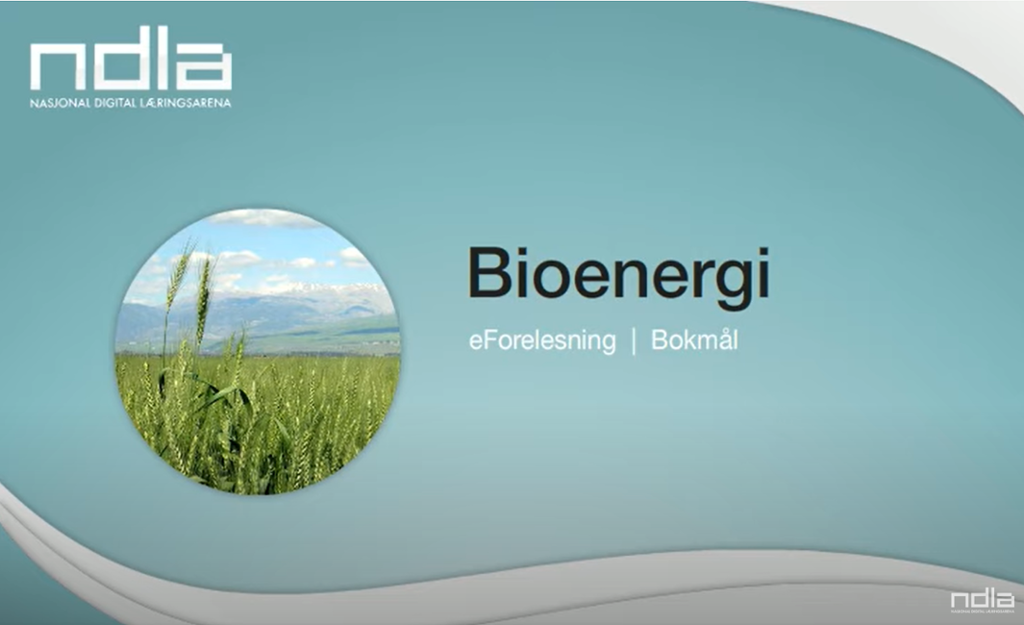 Oppstartsbilde til e-forelesning om bioenergi. Foto.