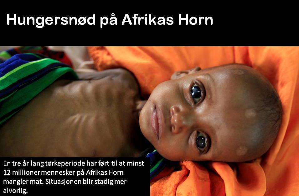 Et utsultet mørkhudet barn med store øyne. På tekstplakaten til venstre på bildet står det at 12 millioner mennesker på Afrikas Horn mangler mat. Foto.