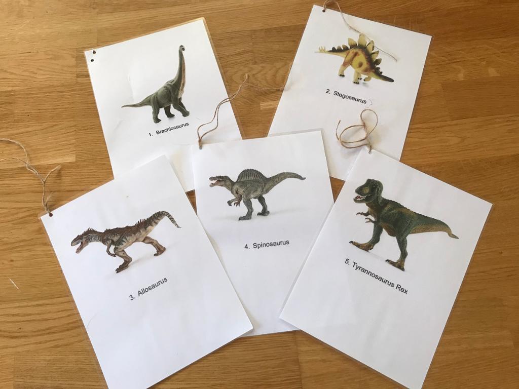Poster med bilder og navn på forskjellige dinosaurer. Foto.