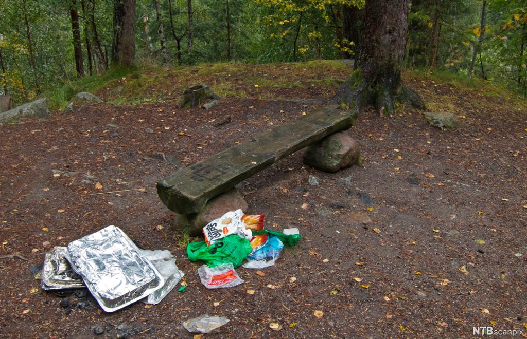 Søppel ved en benk i skogen. Foto.