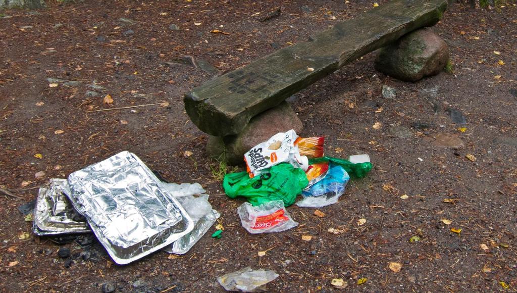 Brukte eingongsgrillar og anna søppel ved ein benk i ein skog. Foto.