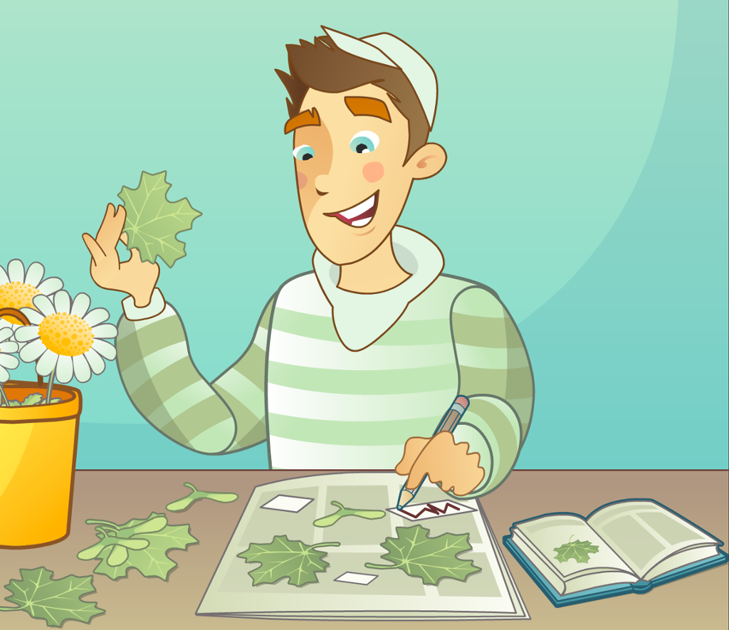 Ung mann i grønnstripete genser holder opp et blad og jobber med noe som ser ut som et herbarium. Tegning.