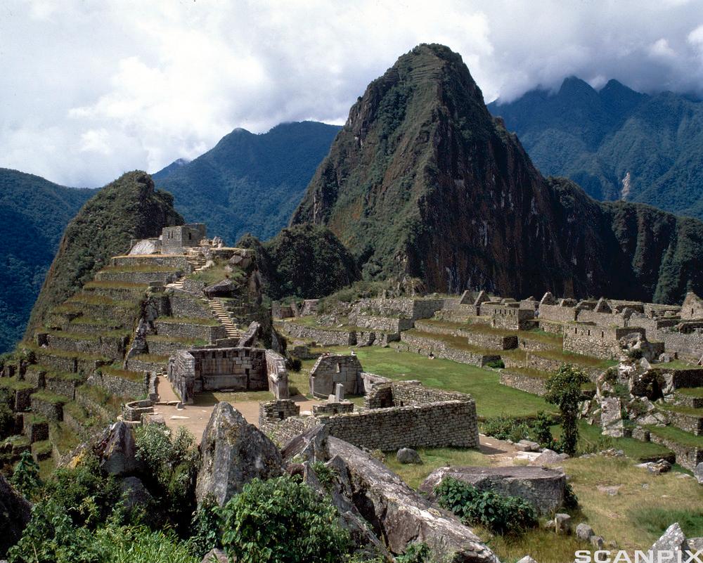 Machu Picchu