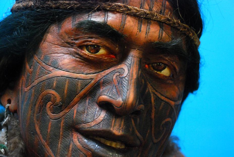 A maori with traditional maori painting in his face. Photo.