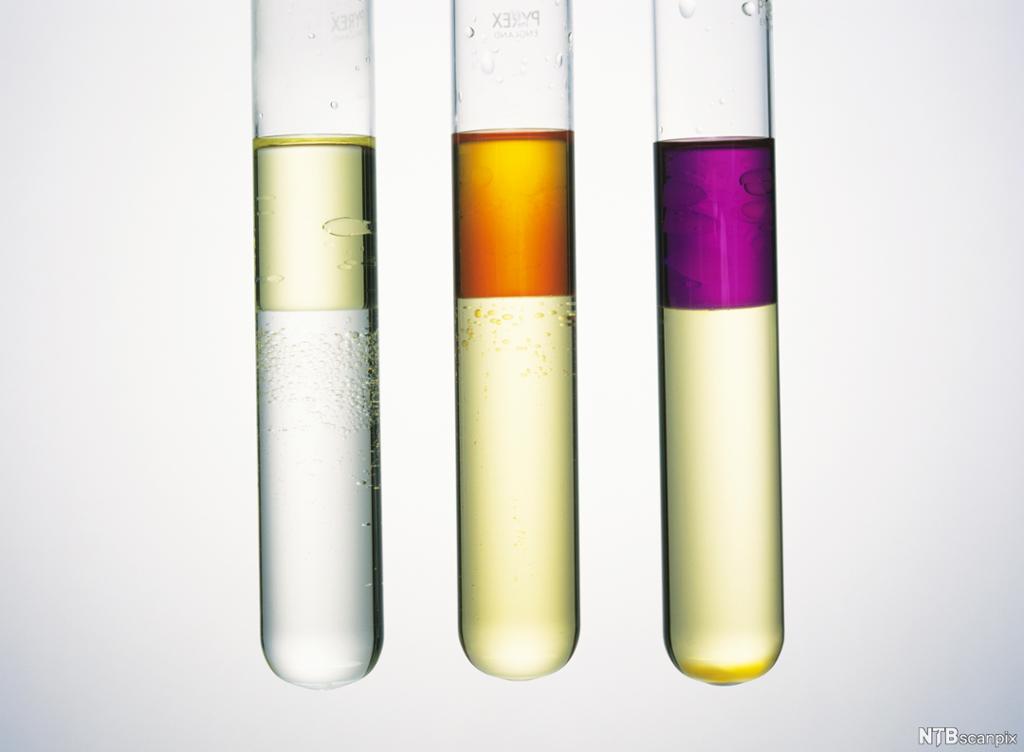 Tre reagensrør med fargede væsker som ikke blandes. Foto.