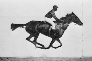 En rekke stillbilder av en hest som løper med en rytter på ryggen, er satt sammen til en liten film. Animasjon.