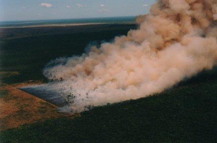Mye røyk stiger opp fra en brennende regnskog. Foto.