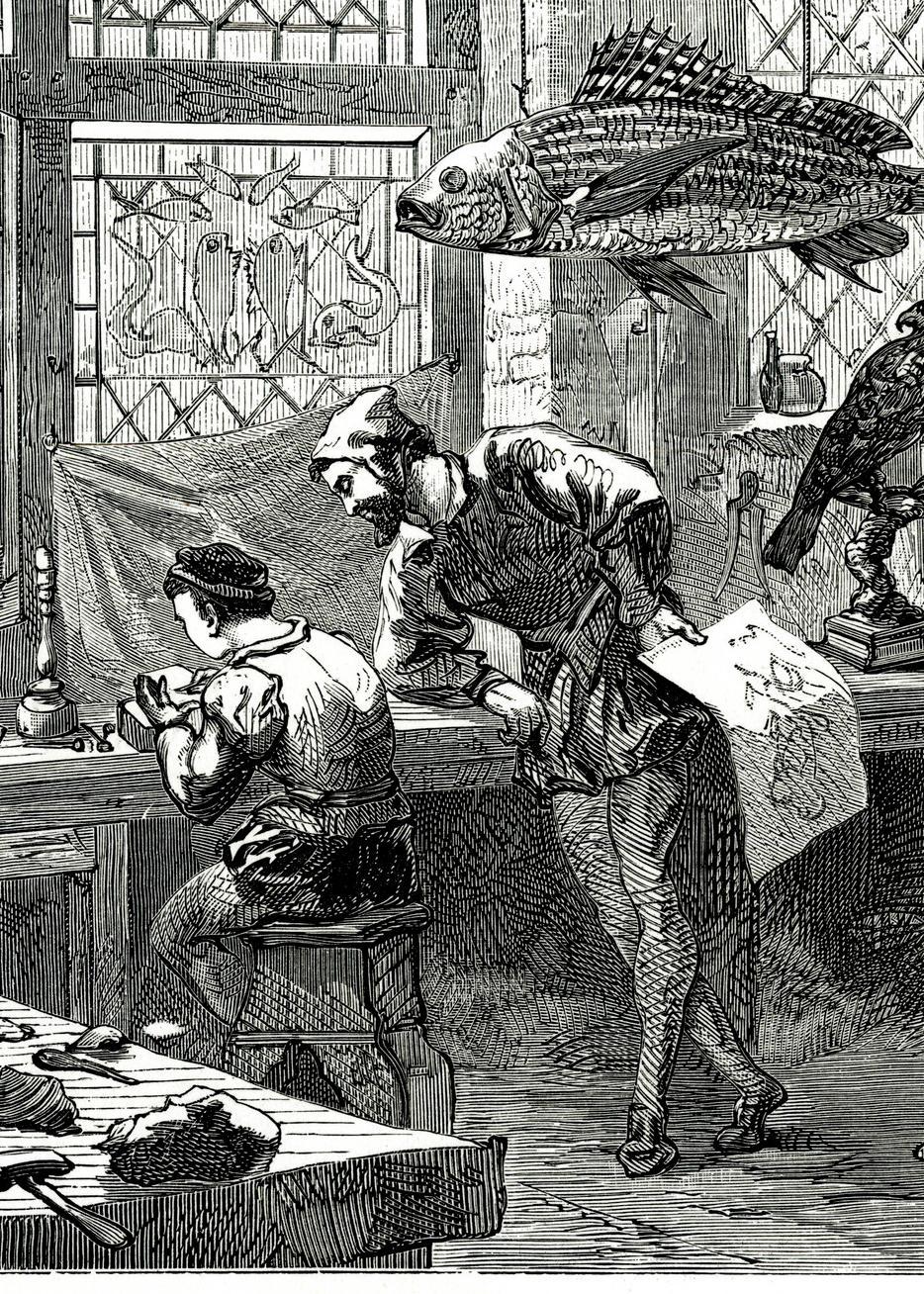Mann følgjer med på ung gut som sit og teiknar i eit rom med utstoppa dyr og verktøy. Personane er kledde i typiske 1500-tallsklede. Illustrasjon.