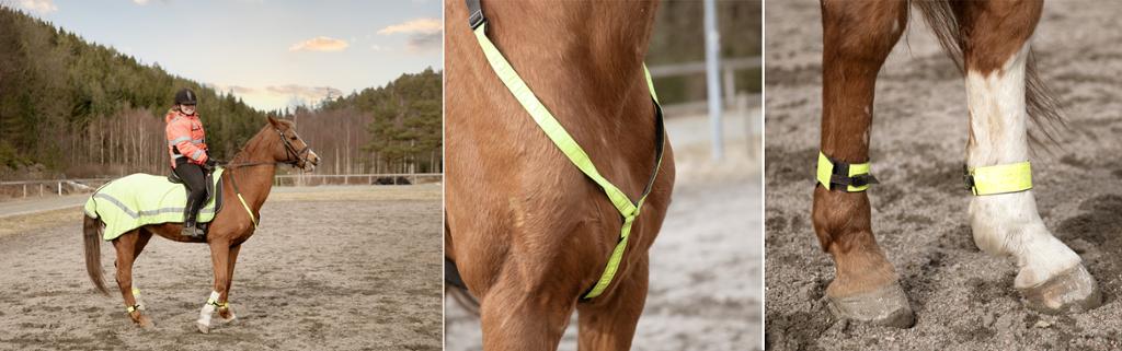 Tre bilder om viser hest med refleksdekken og refleksbånd foran og på beina og rytter med jakke med refleksbånd. Foto.