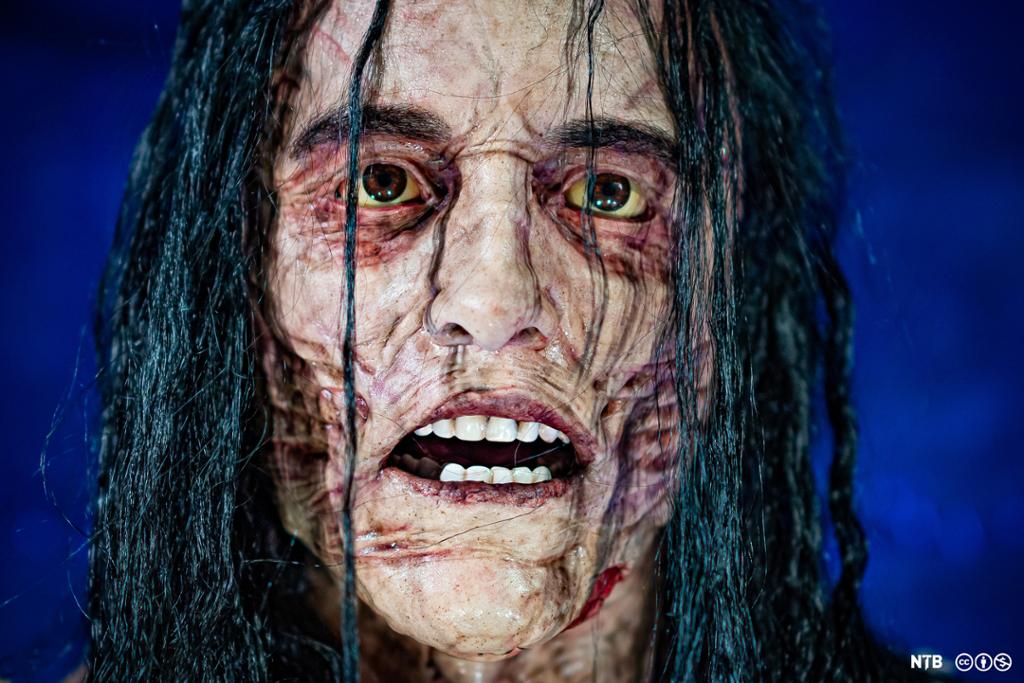 Photo of a ghastly face full of scars, uneven white teeth, raggedy black hair. 