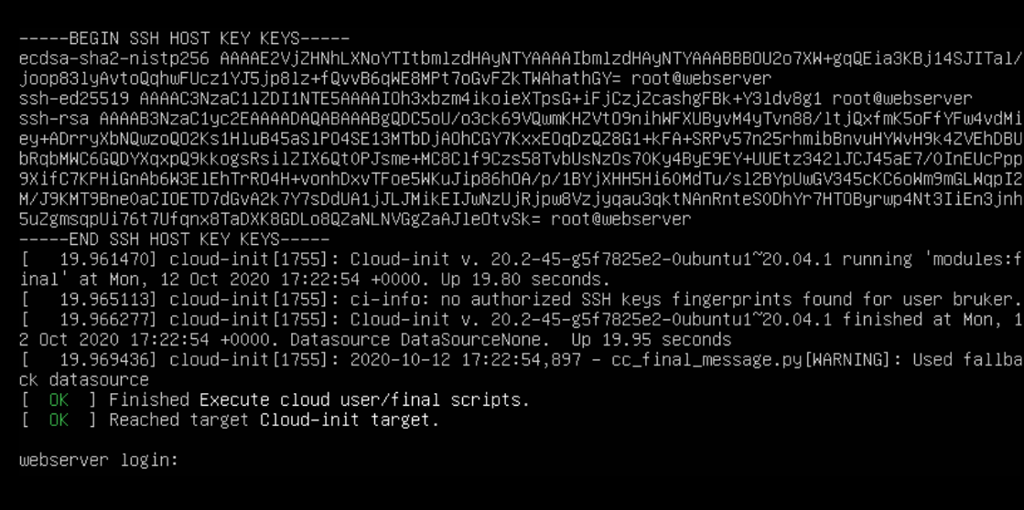 Mange linjer med statustekst, nederst står det "webserver login:". Skjermbilde fra Ubuntu Server 20.04.