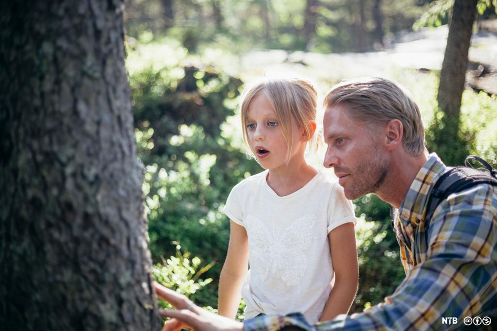 Ei jente og en voksen studerer et tre i skogen. Foto.