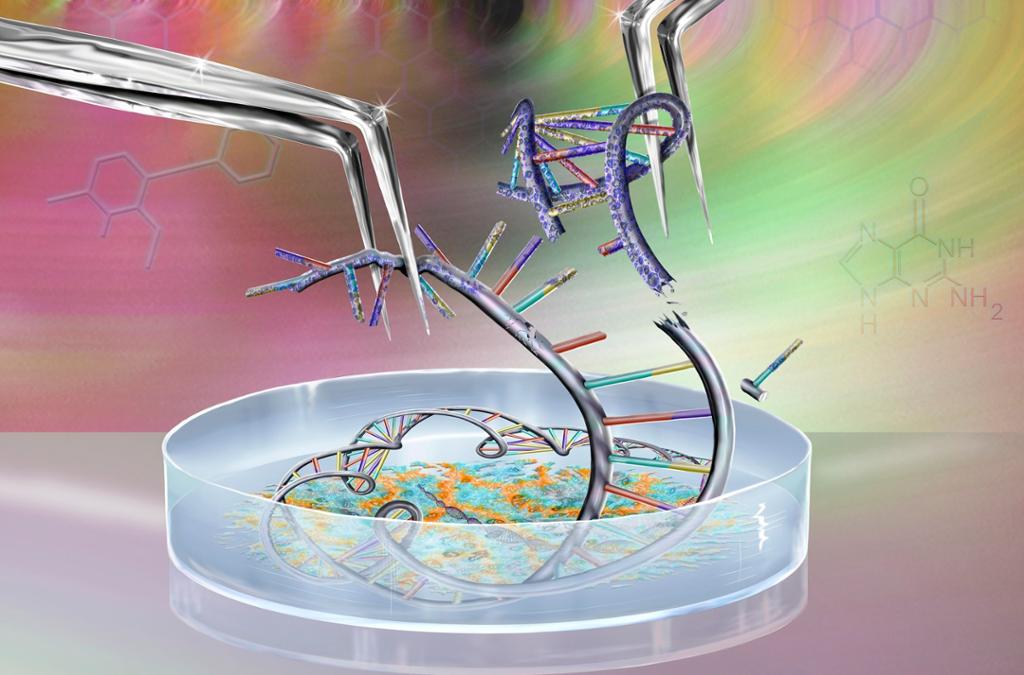 DNA i ei petriskål blir klippet og endret. Illustrasjon.