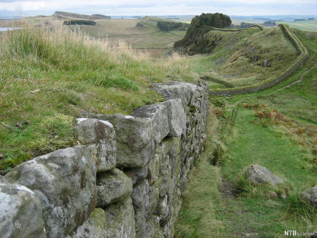 En lang og mosegrodd mur lagd av steinblokker i forskjellige størrelser. Foto.