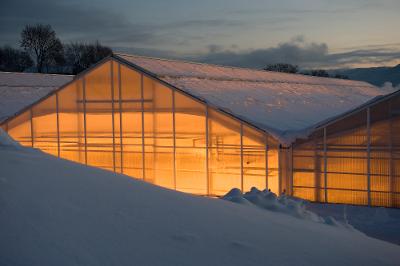 Veksthus med lys, snøen ligger tungt rundt bygningen. Foto.