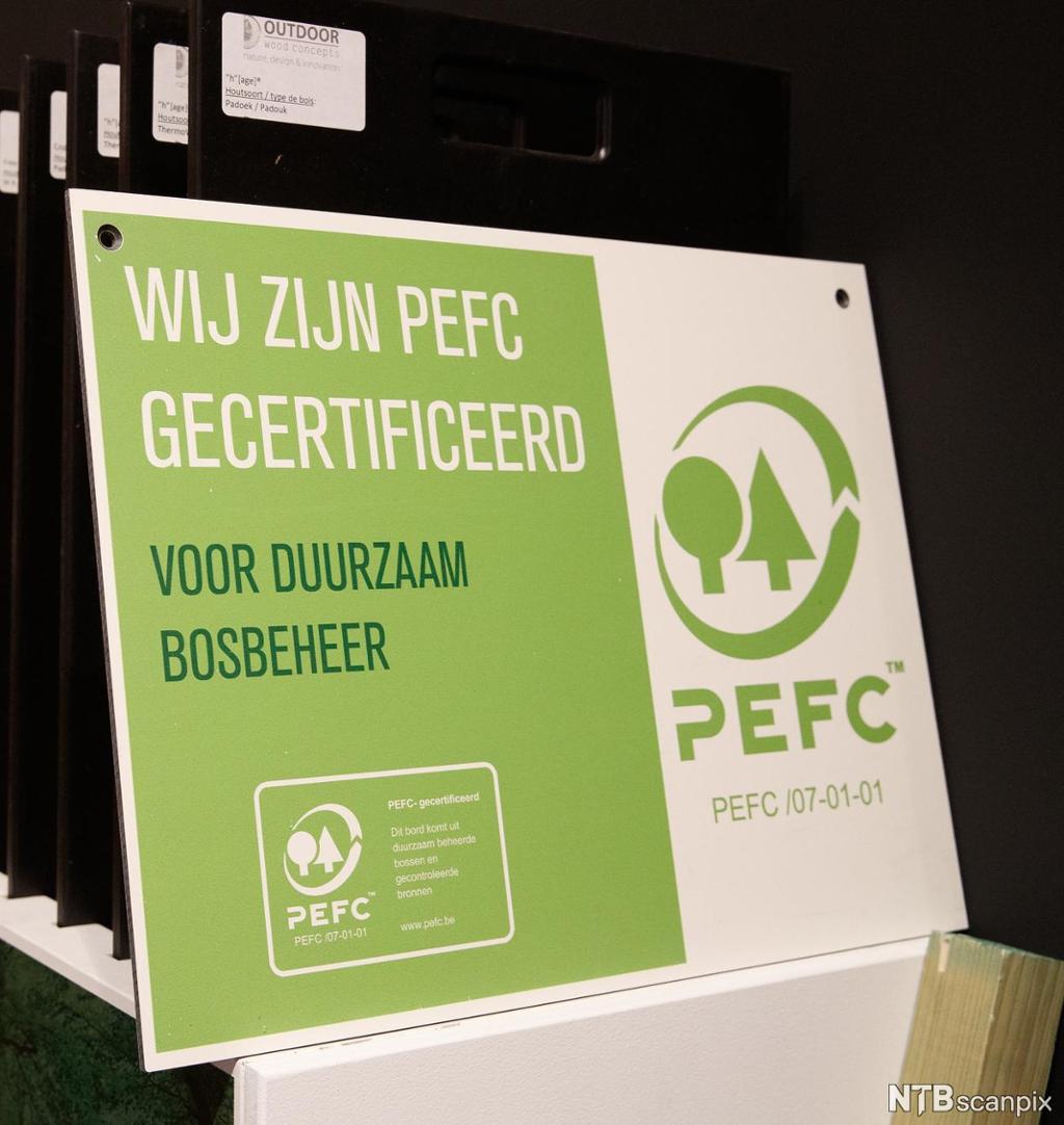 PEFC-logo utstilt foran produkter av trevirke. Foto.