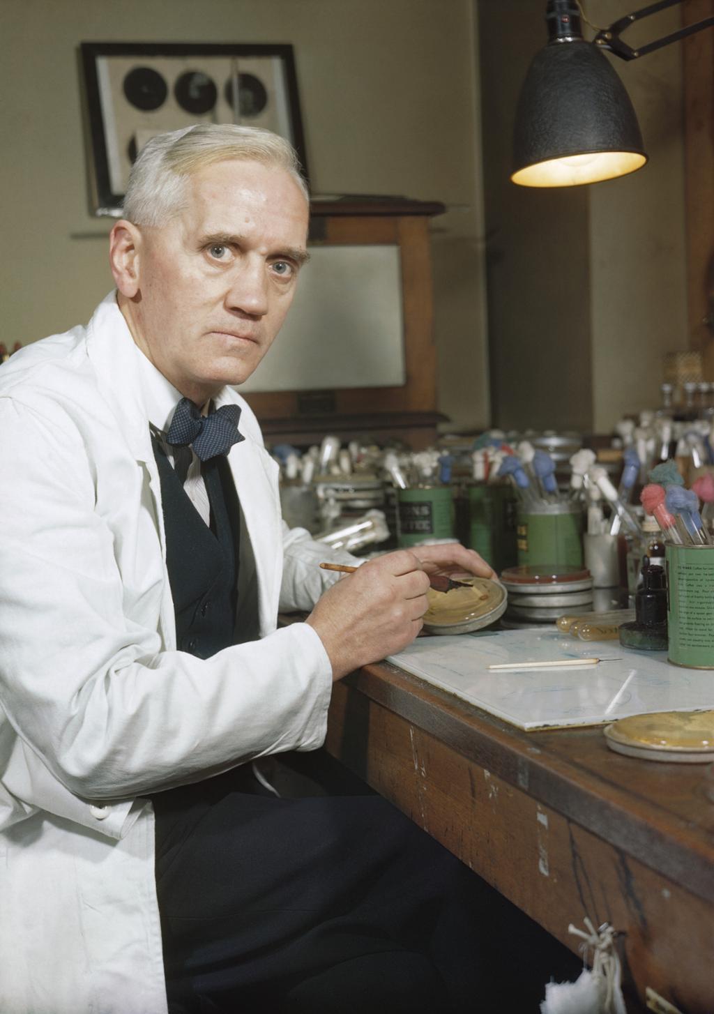 En mann sitter i hvit frakk på et laboratorium og undersøker ei agarskål med penicillin. Foto. 