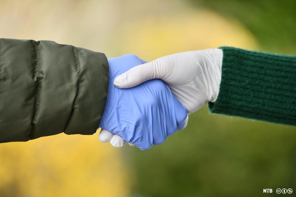 Photo: Handshake. We see two arms and hands. One is wearing a blue plastic glove, the other a white plastic glove. 