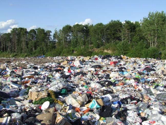 Søppeldeponi med søppel spredt utover et større område. Skog i bakgrunnen. Foto. 