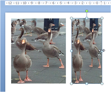 To bilder i en PowerPoint-presentasjon