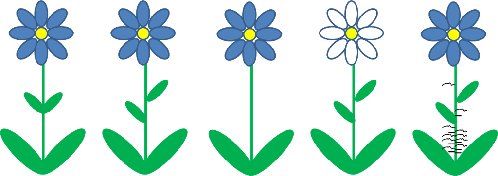 Planter med blå og hvite blomster og ulikt antall blad. Illustrasjon.