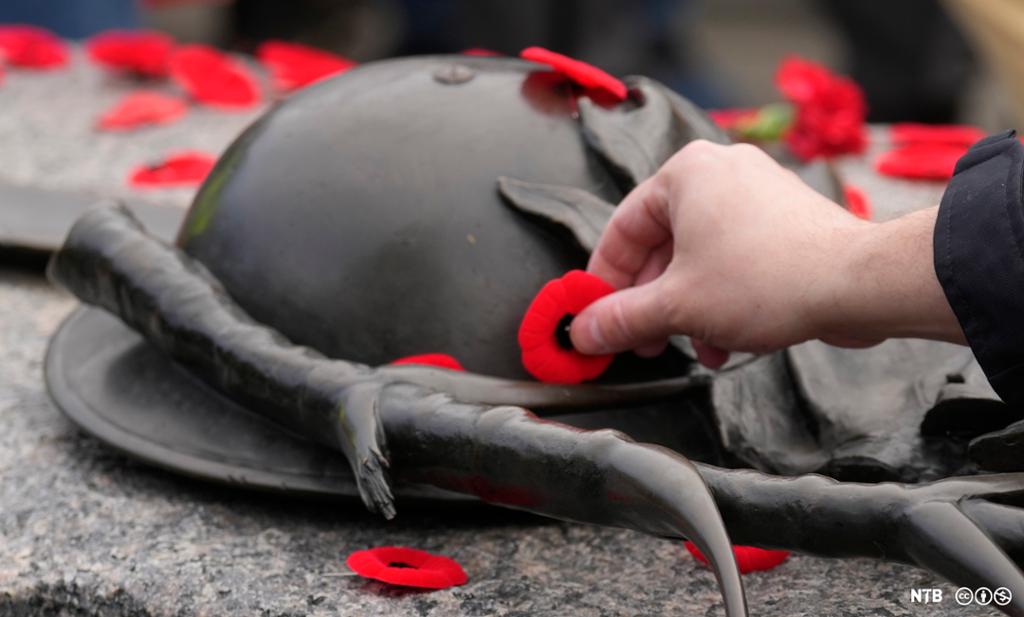 A person places their poppy on the Tomb of the Unknown Soldier following the a Remembrance Day ceremony. Photo.