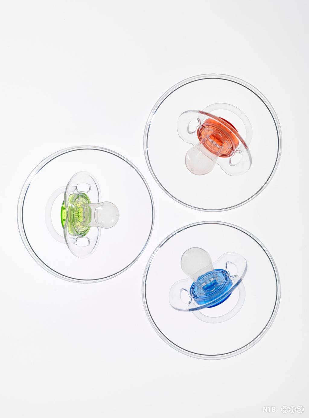 Tre petriskåler som hver inneholder en smokk i ulik farge: en rød, en blå og en grønn. Foto.