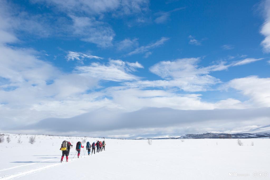 Turgruppe på ski i flatt terreng, på ein flott vinterdag med blå himmel. Foto.