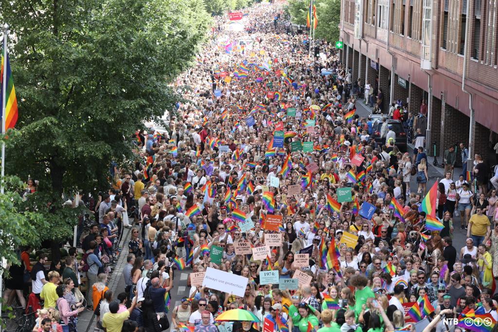 Folkemengde sett ovenfra, fra Oslo Pride Parade 2019. Mange regnbueflagg, plakater og effekter ses i folkemengden. Foto.