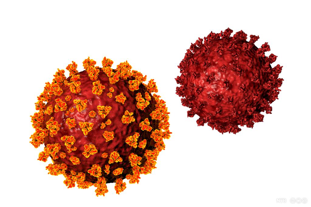 To kuleformede virus med tagger. Illustrasjon. 