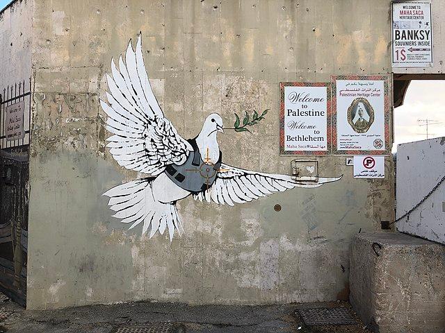 A white dove, with an olive branch in its beak, is flying while wearing a bulletproof vest. Photo.