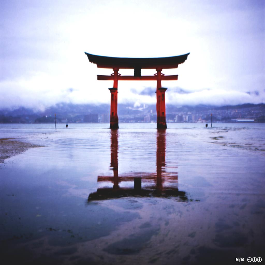 Portal til tempel i Miyajima i Japan. Portalen består av to pilarer med tverrgående pilarer på toppen, og er rød. Den står i vann. Foto. 
