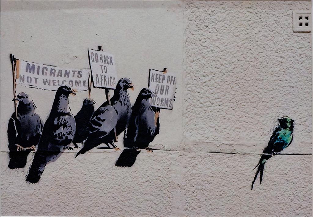 Street art. A swallow is harassed by five pigeon demanding that he leaves the countryand goes 'back to Africa'. Photo.