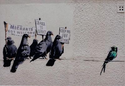 Street art. A swallow is harassed by five pigeon demanding that he leaves the countryand goes 'back to Africa'. 