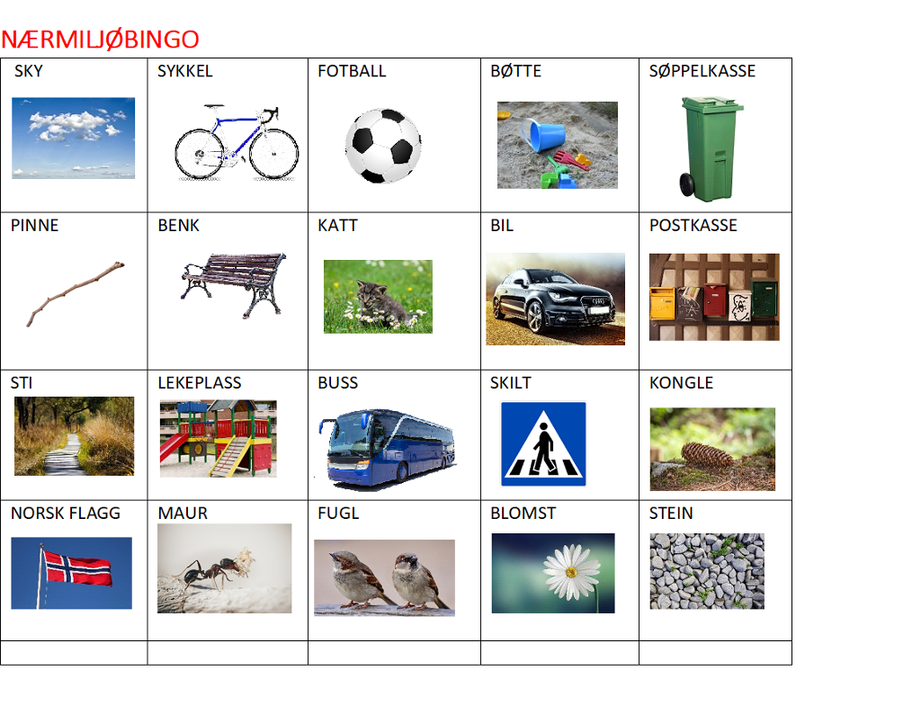 Bingoplate med bilder av i alt 20 ulike ting man kan finne eller se i nærmiljøet: sky, sykkel, fotball, bøtte, søppelkasse, pinne, benk, katt, bil, postkasse, sti, lekeplass, buss, skilt, kongle, norsk flagg, maur, fugl, blomst, stein. Illustrasjon.
