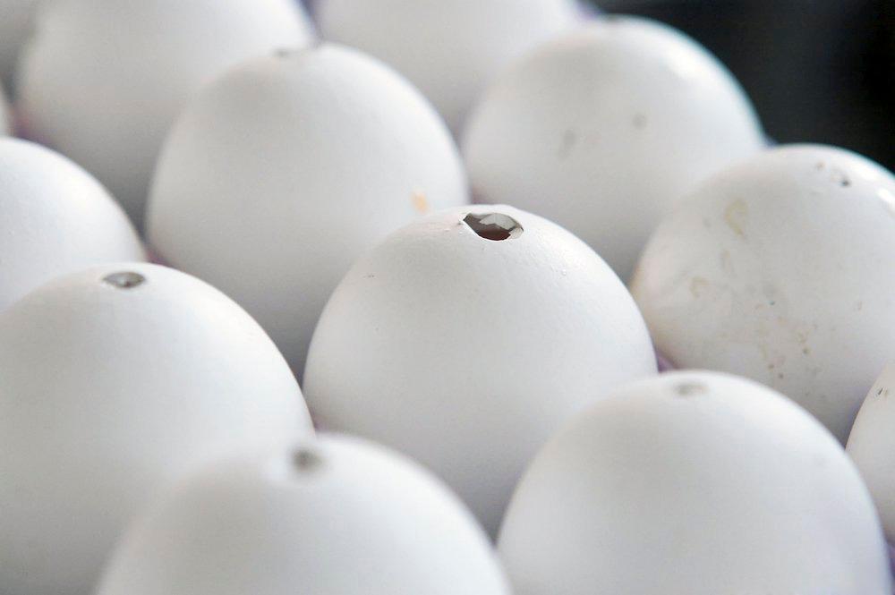 Egg på brett. Foto.