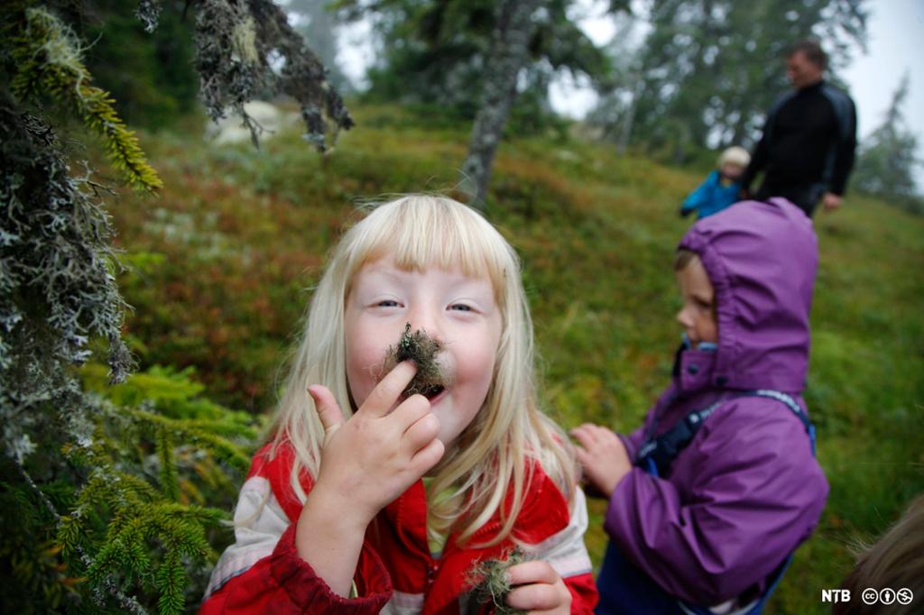 Barn i fri lek på tur i høstskogen. Ei jente leker med lav, hun holder en bit lav mellom munnen og nesa. Foto.