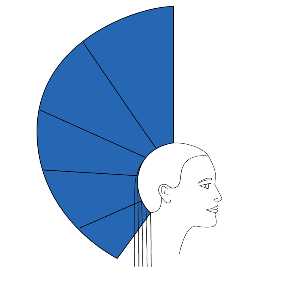 Profil med blått felt som viser hårlengden på en frisyre med hel form. Illustrasjon.