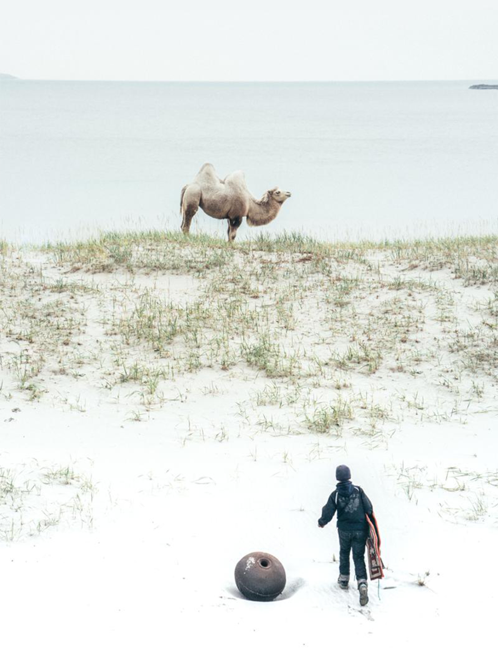 En gutt på vei opp mot en kamel på ei strand. Kamelen står og stirrer utover landskapet, og gutten nærmer seg dyret. Foto.