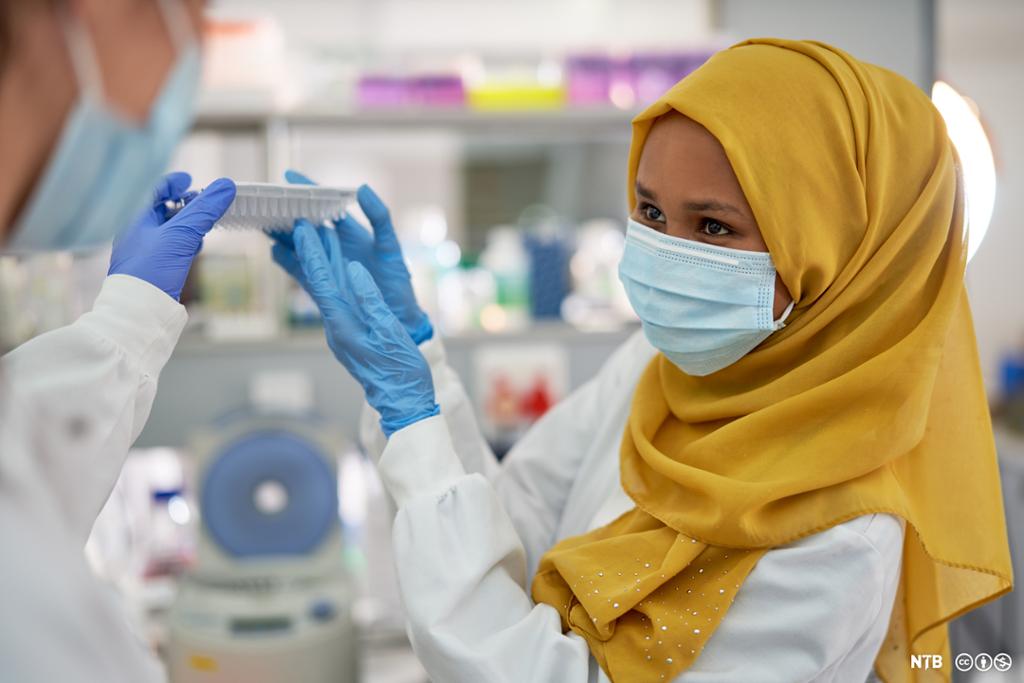 Ein kvinneleg forskar med gul hijab, munnbind og hanskar. Foto.
