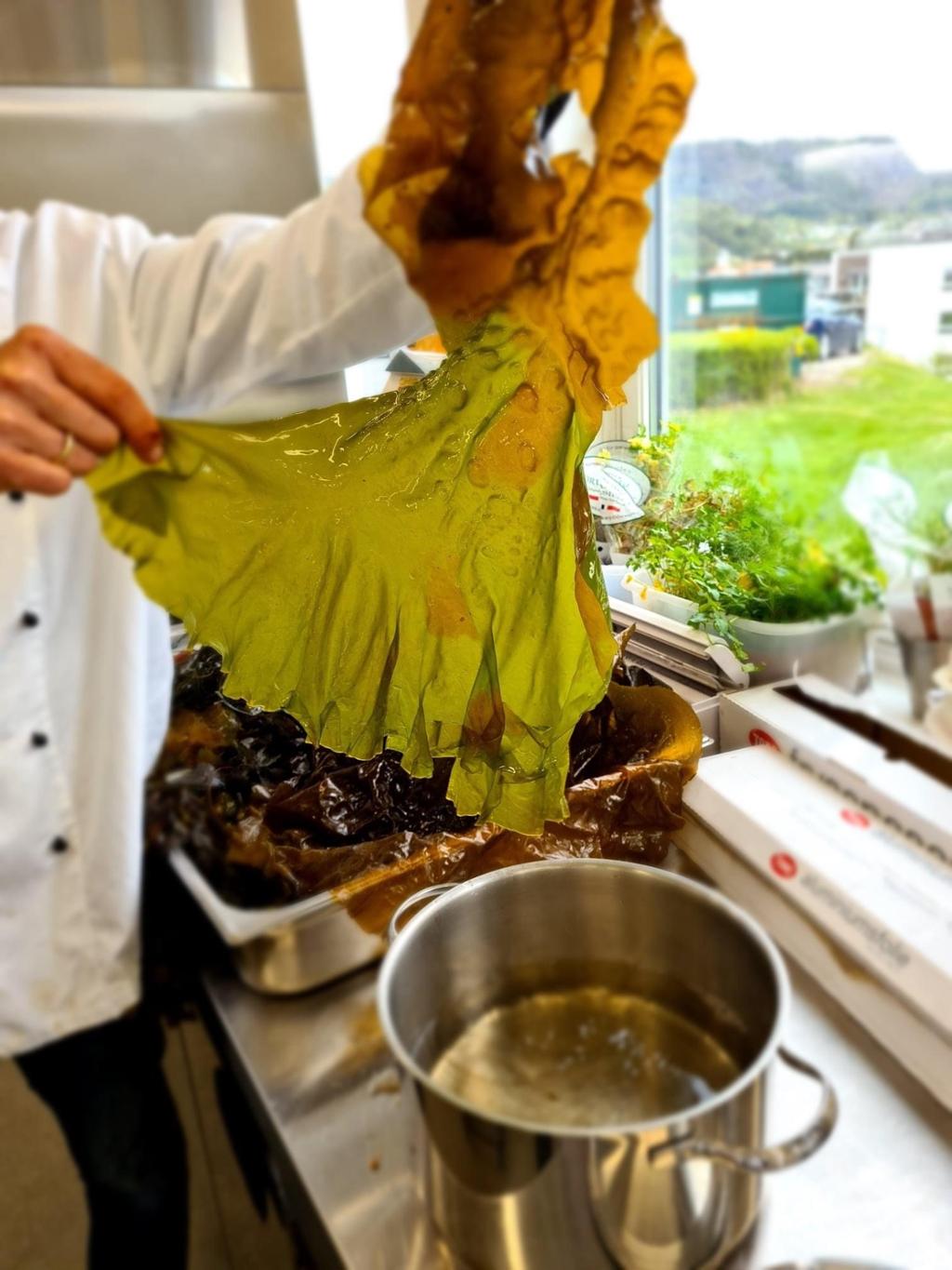 En kokk holder en bit med tare. Taren er brun øverst og grønn nederst. Foto.