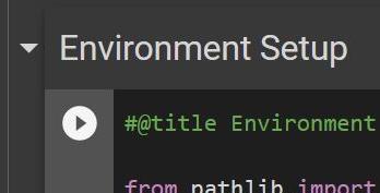 Overskrifta Environment Setup med eit ikon med ein startknapp under. Skjermbilete.