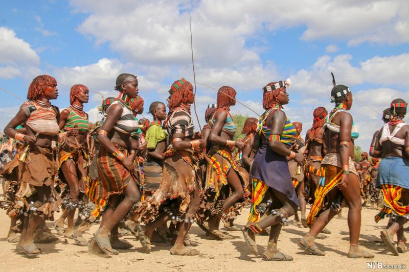 En gruppe fra Hamerfolket i Etiopia fremfører en stammedans. Foto.