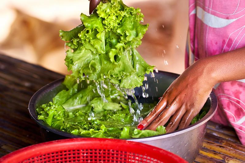 Grønne salatblader vaskes i vann. Foto.