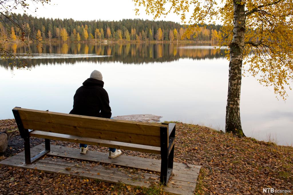 Ung mann sitter alene på en benk og ser utover et vann. Rundt vannet står trær i høstfarger. Foto.